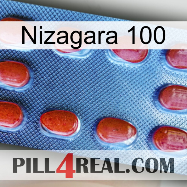 Nizagara 100 06.jpg